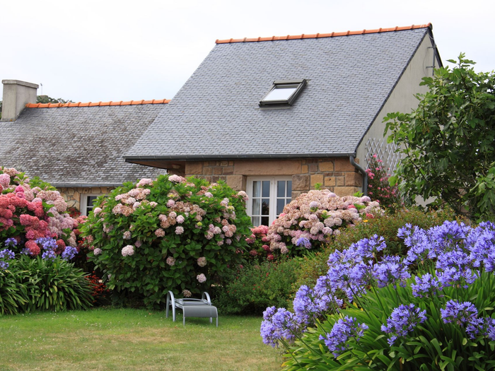 Maison de campagne avec toit gris, buissons fleuris roses et violets et pelouse verte.