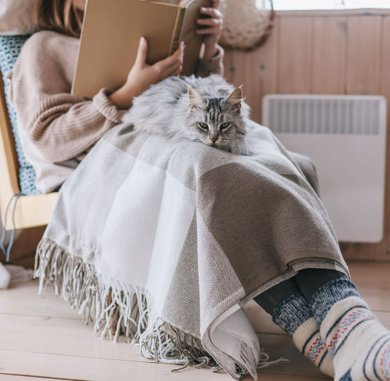 Jeune femme profitant d'un après-midi lecture avec un plaid et son chat gris.