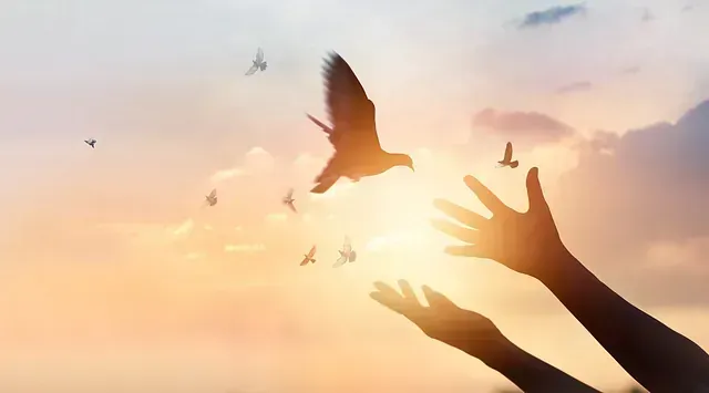 Una persona está tratando de alcanzar un pájaro en el cielo.