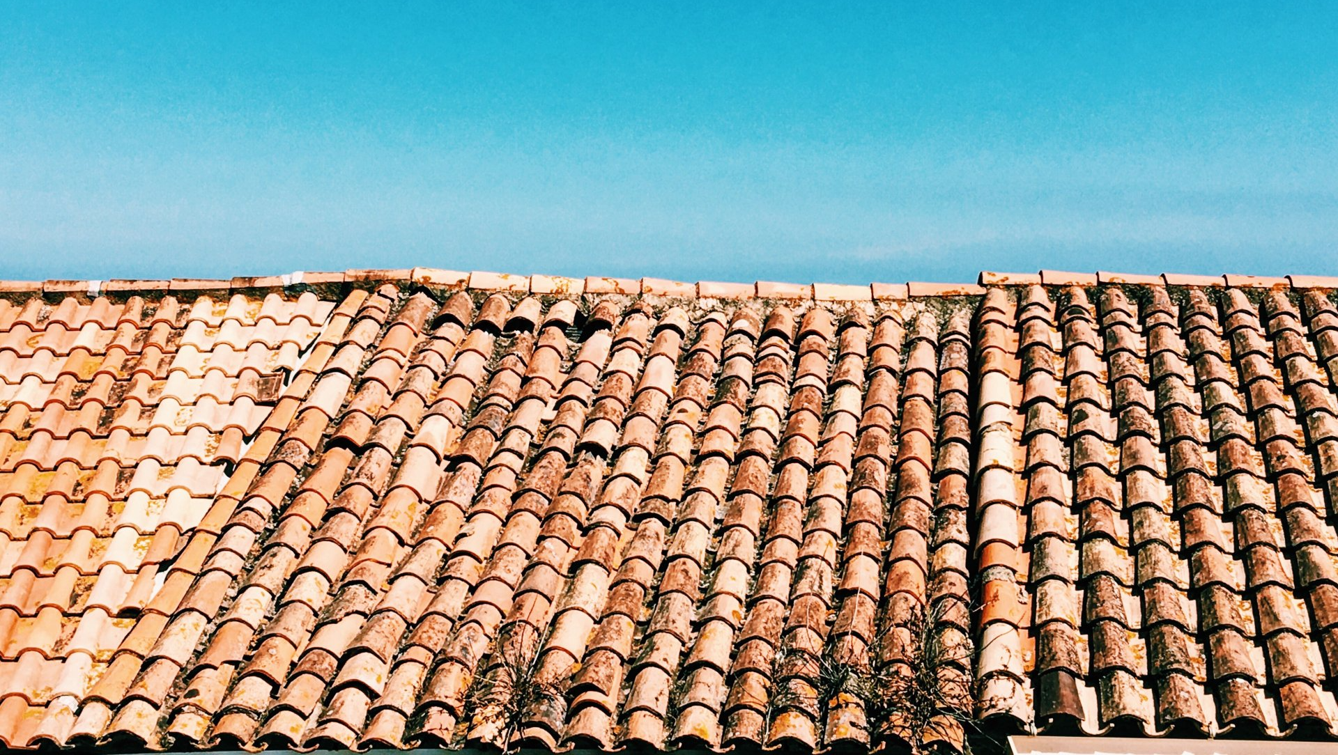 Décapage et entretien du toit