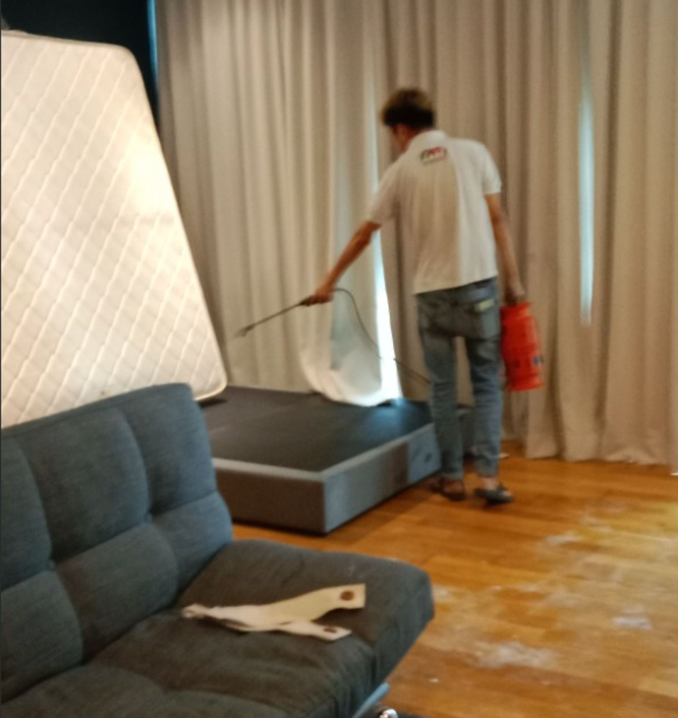 Dealing with bed bugs infestation for homestay management