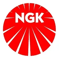Logotipo da NGK: Letras brancas 