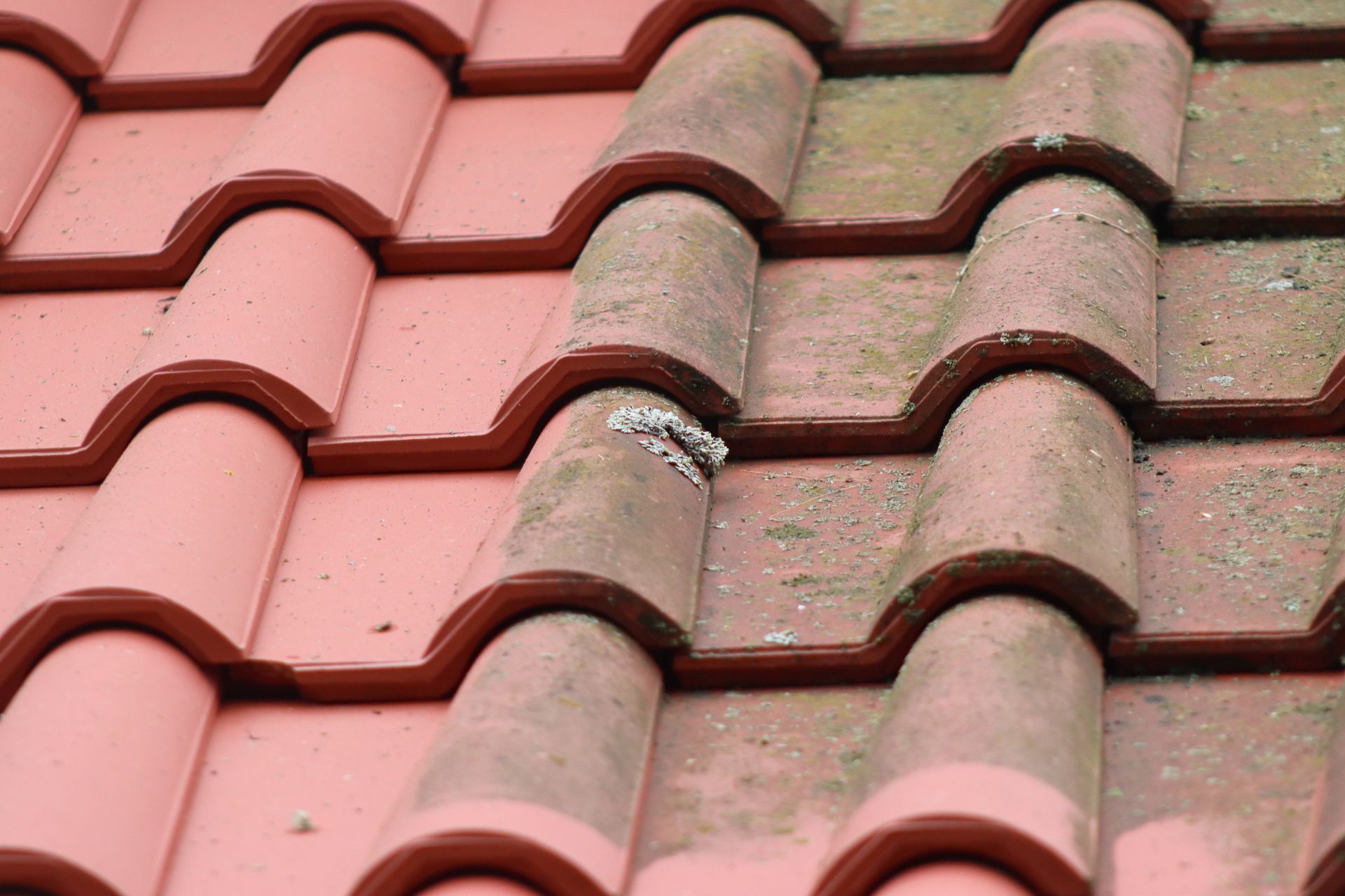 Deux parties de tuiles montrant une section propre et rouge vif contrastant avec une section sale et recouverte de mousse.