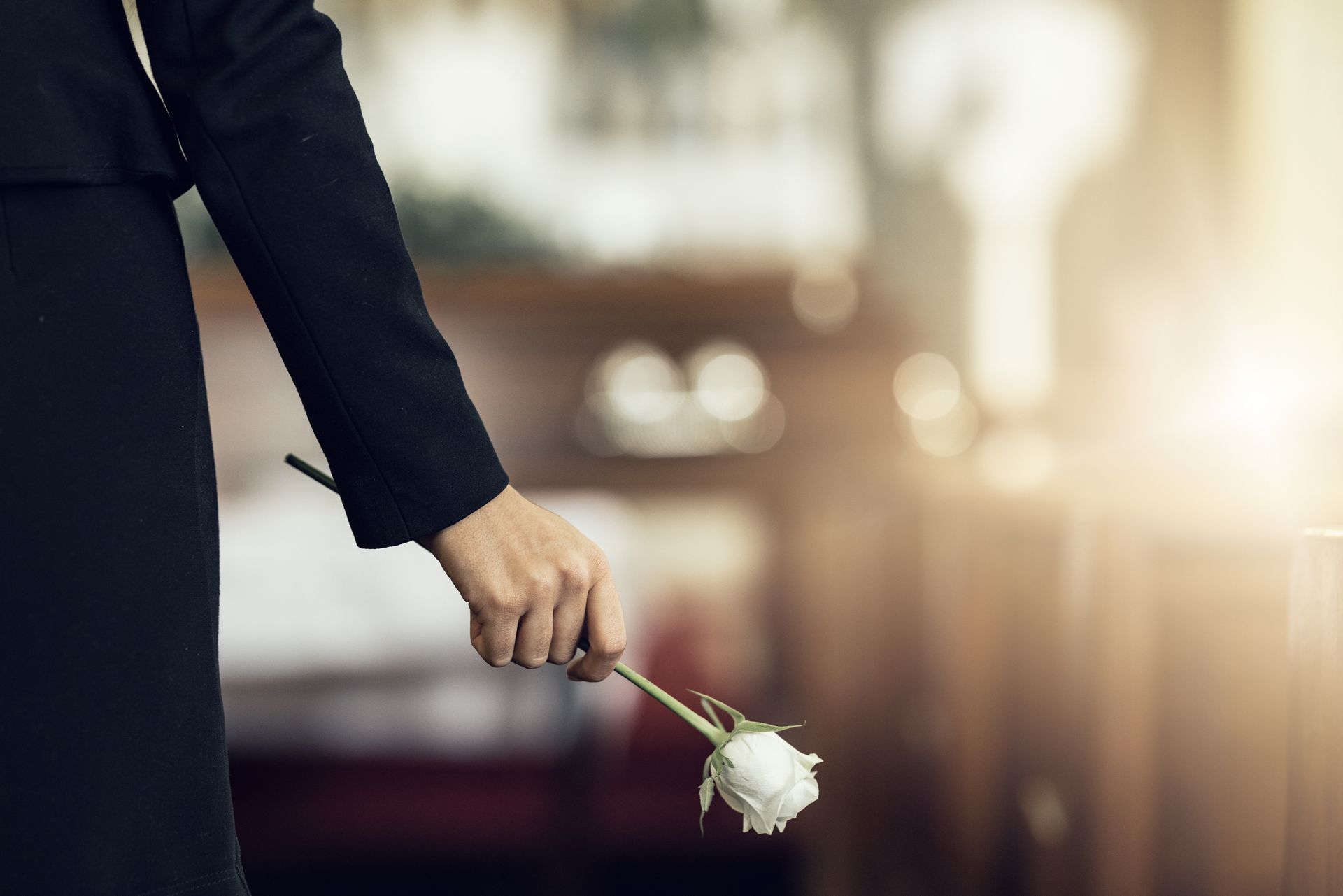 Homme tenant dans sa main une rose blanche