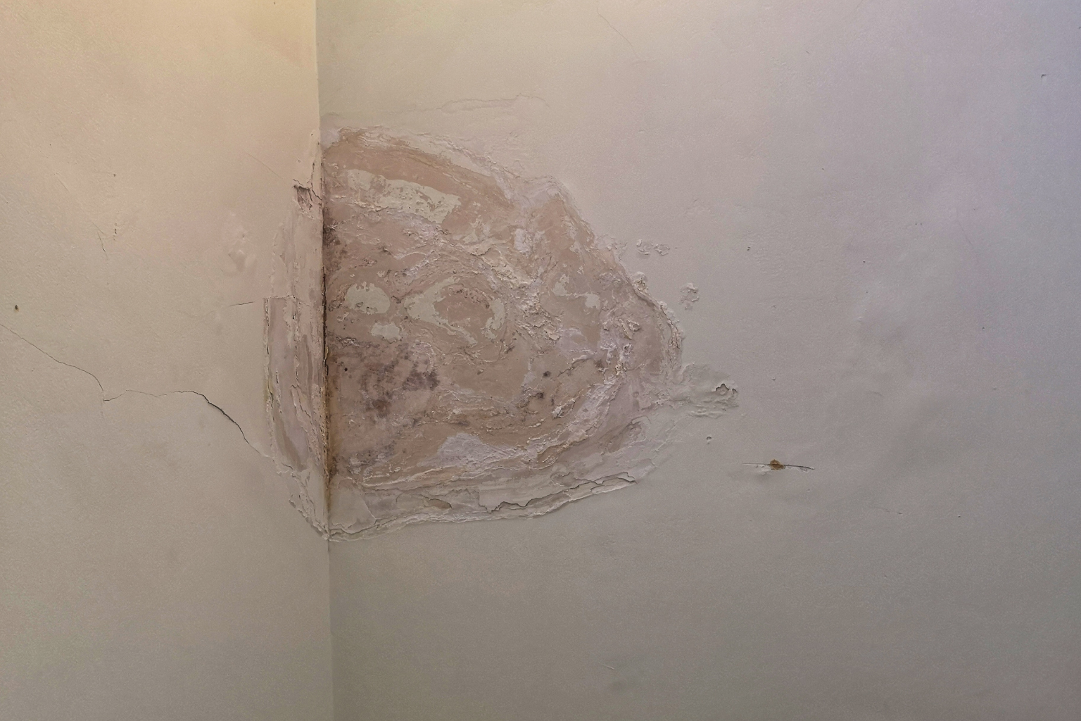 Mur d'angle endommagé par l'eau, présentant une peinture écaillée et des décolorations dans les tons bruns et beiges.