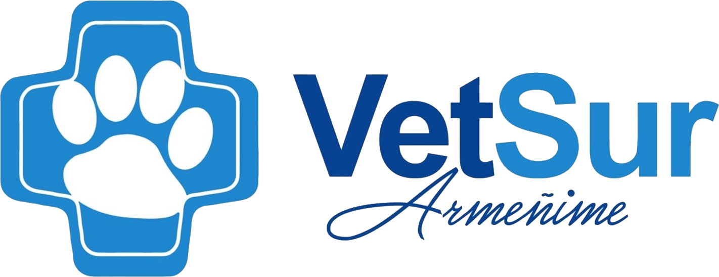 Veterinario en Adeje - Armeñime