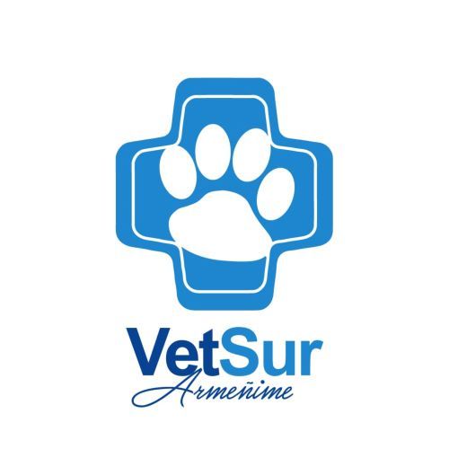 logotipo cabecera