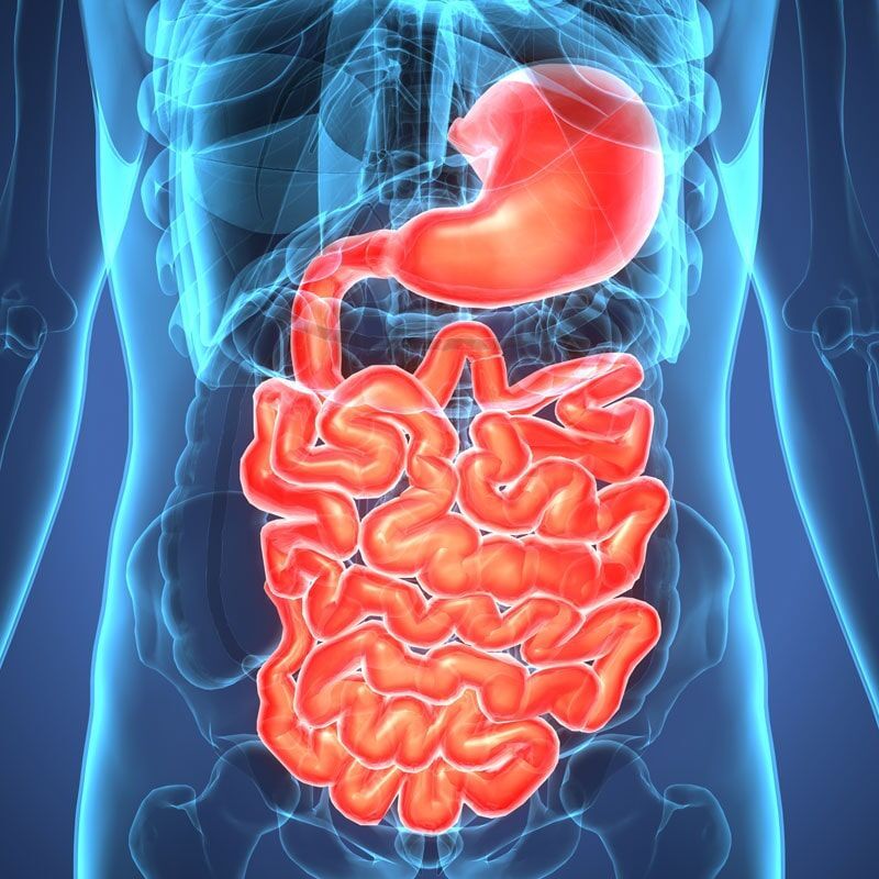 Doenças intestinos consultas carcavelos