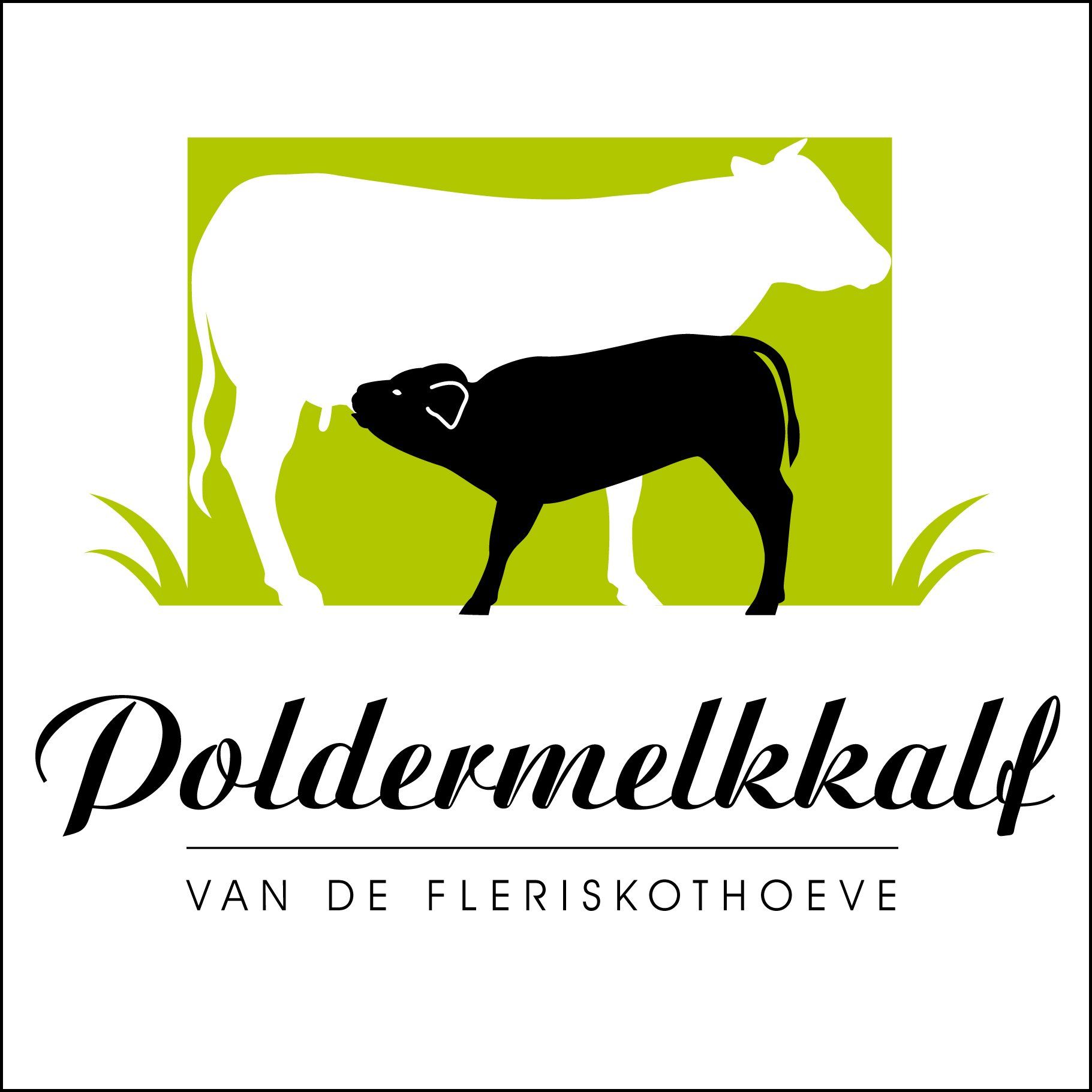 Grafisch Ontwerp Brugge