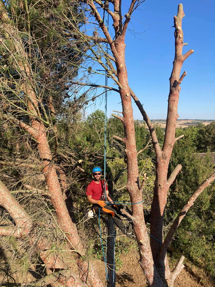 Travail en hauteur sur corde