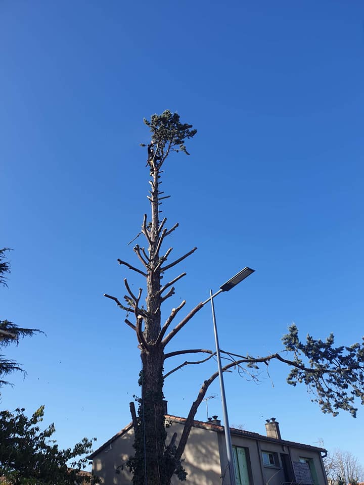 Démontage par un cordiste