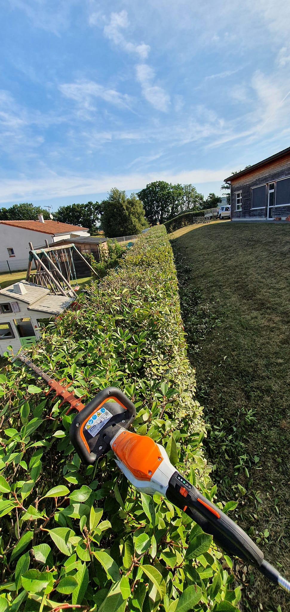 Taille de haies