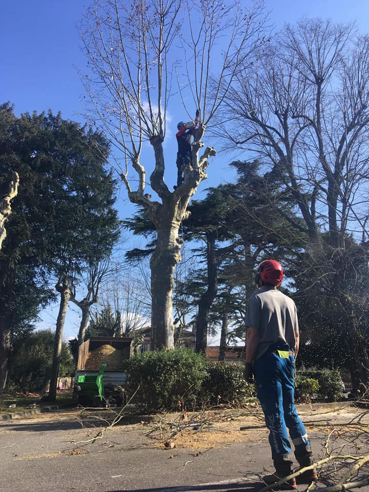 Artisans paysagistes