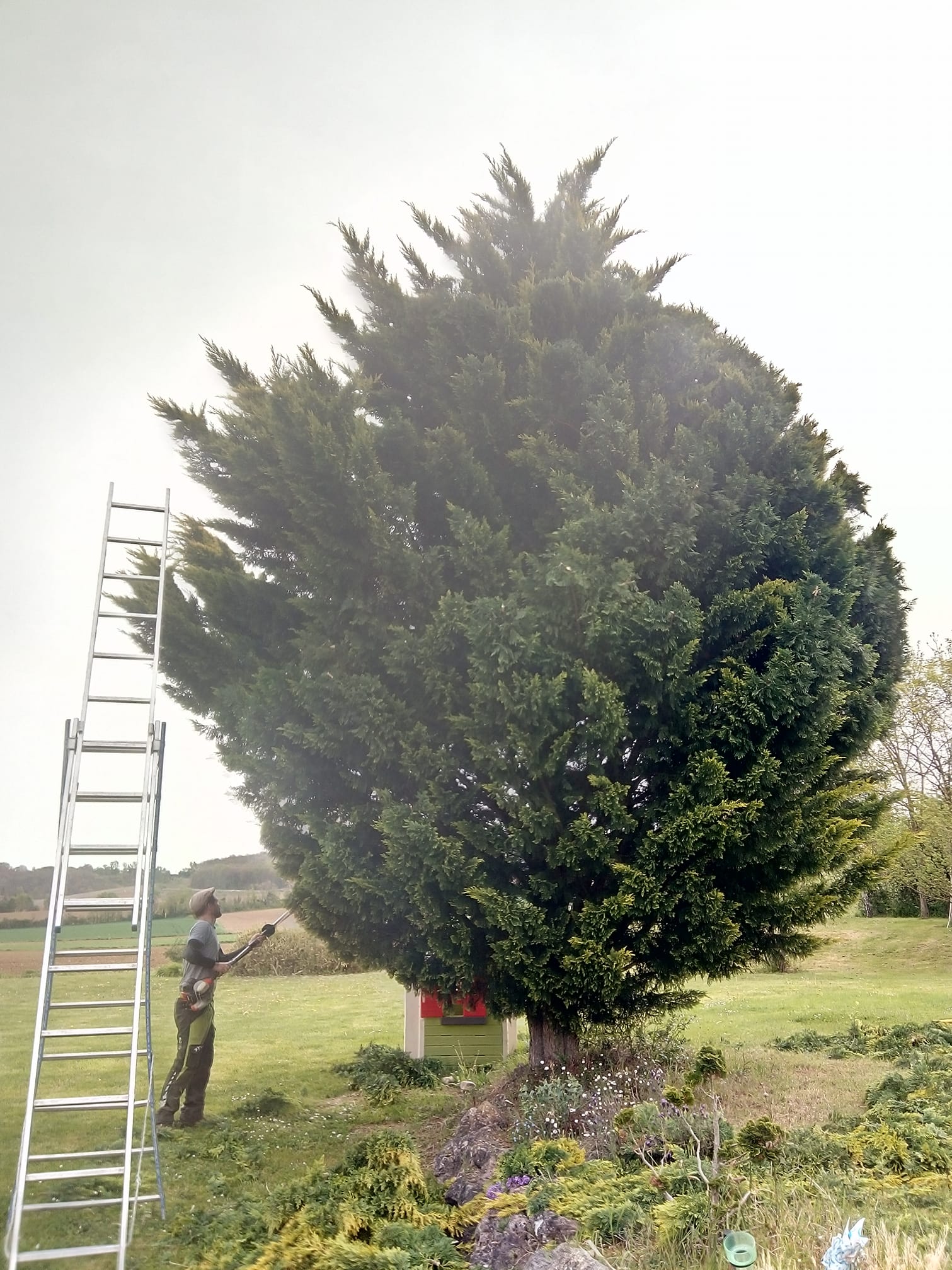 Mise en forme d'un sapin