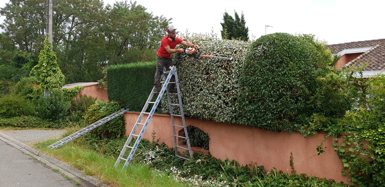Rabatage de haies