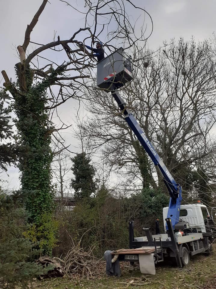 Démontage d'arbre avec nacelle