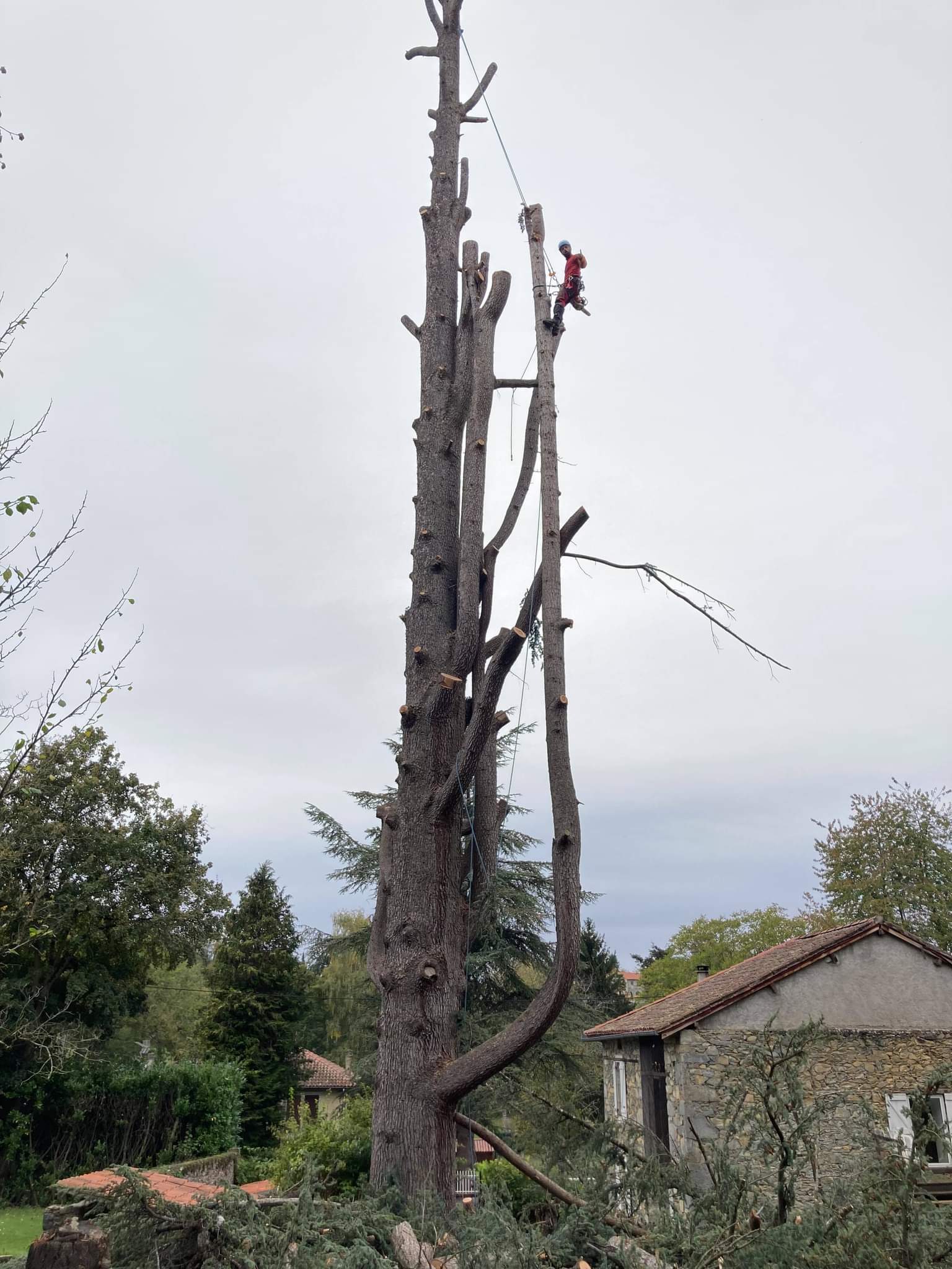 Abattage par démontage