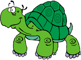 Schildkröte Grafik