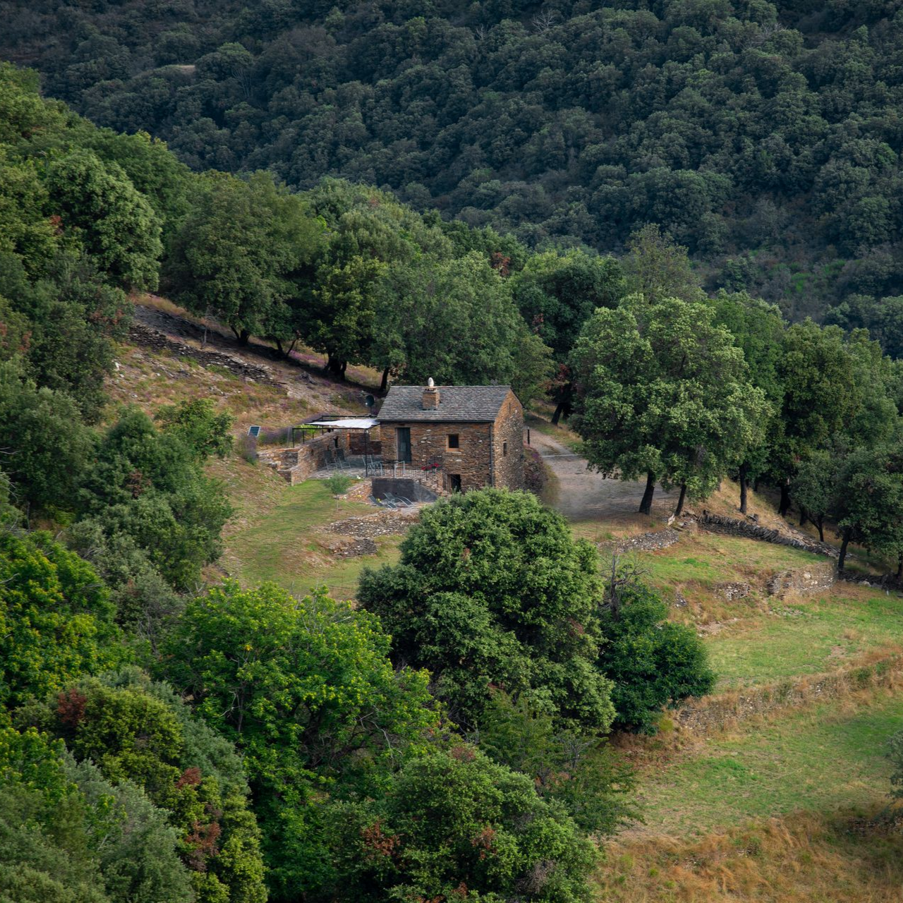 Mas dans les Cévennes