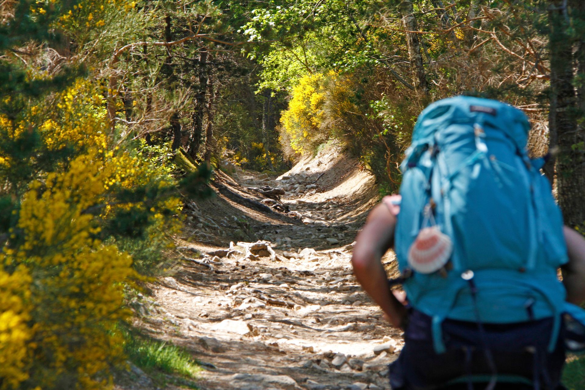 Vers la page Transport touristique