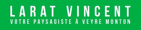 Logo Larat Vincent