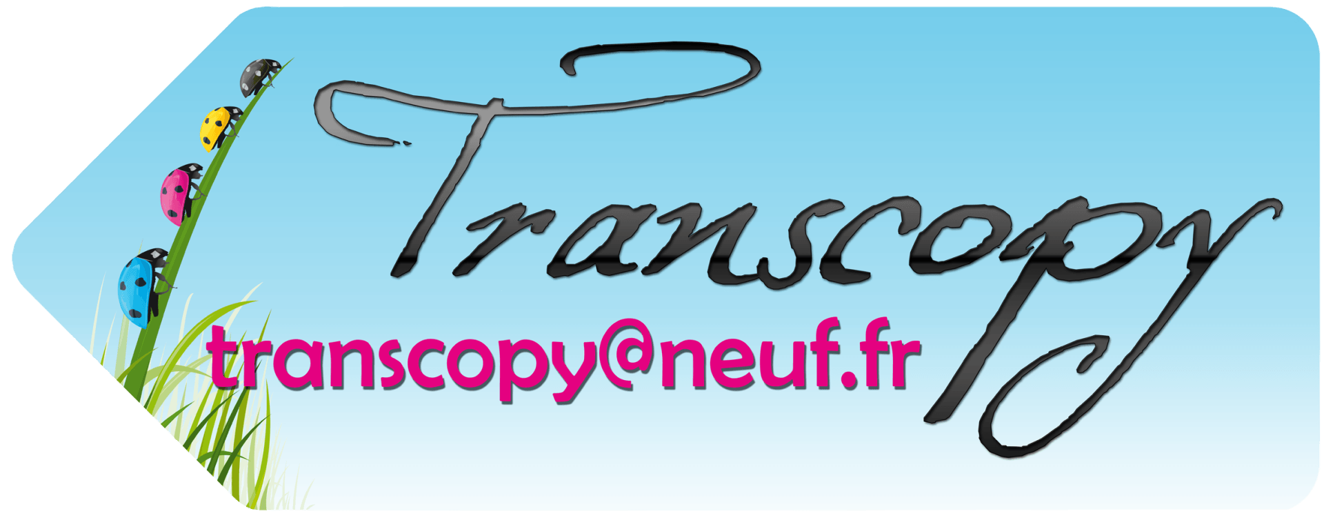 Logo de Transcopy