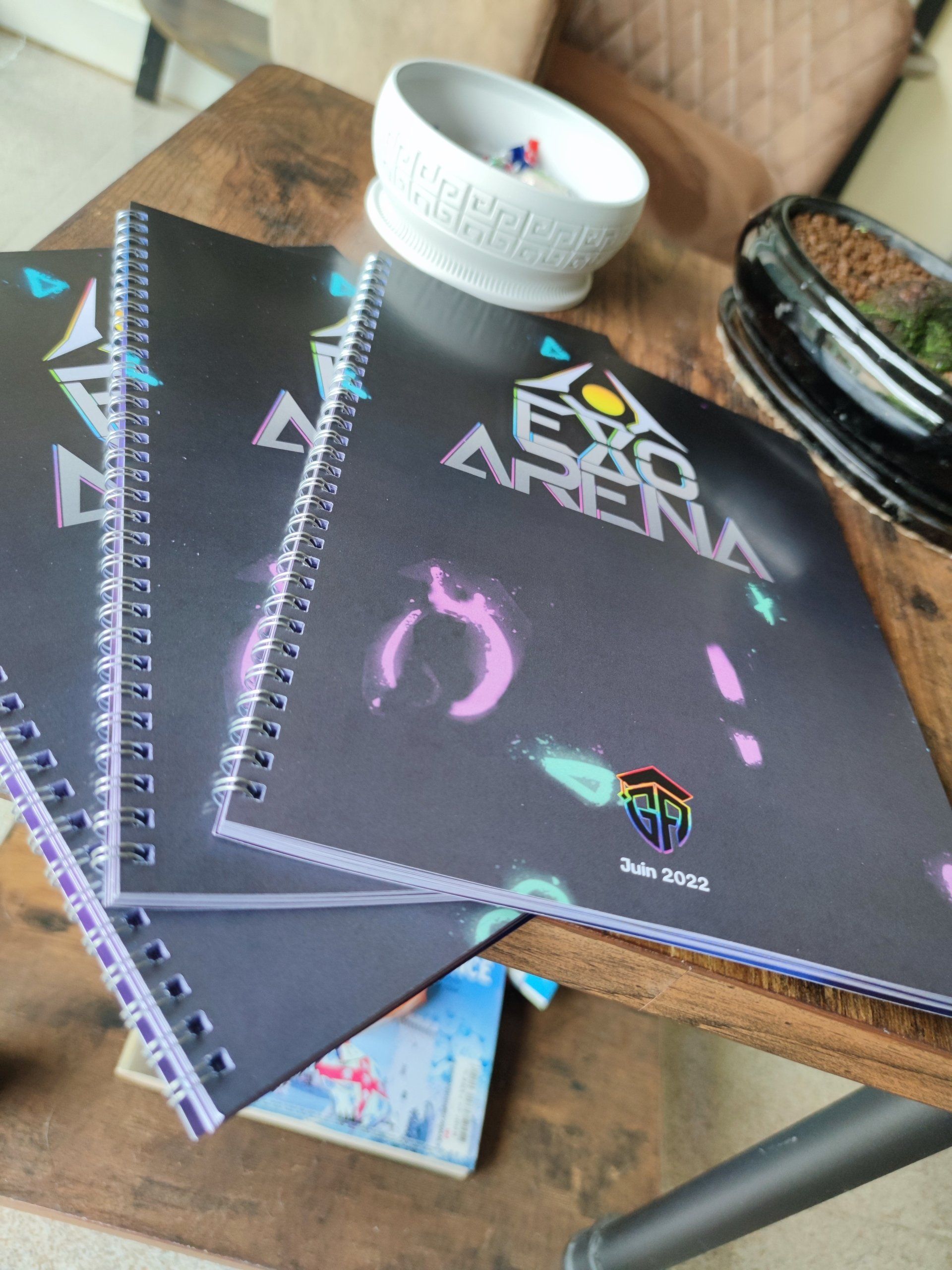 Agenda à spirales métalliques