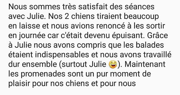 Témoignage sur le dressage canin 