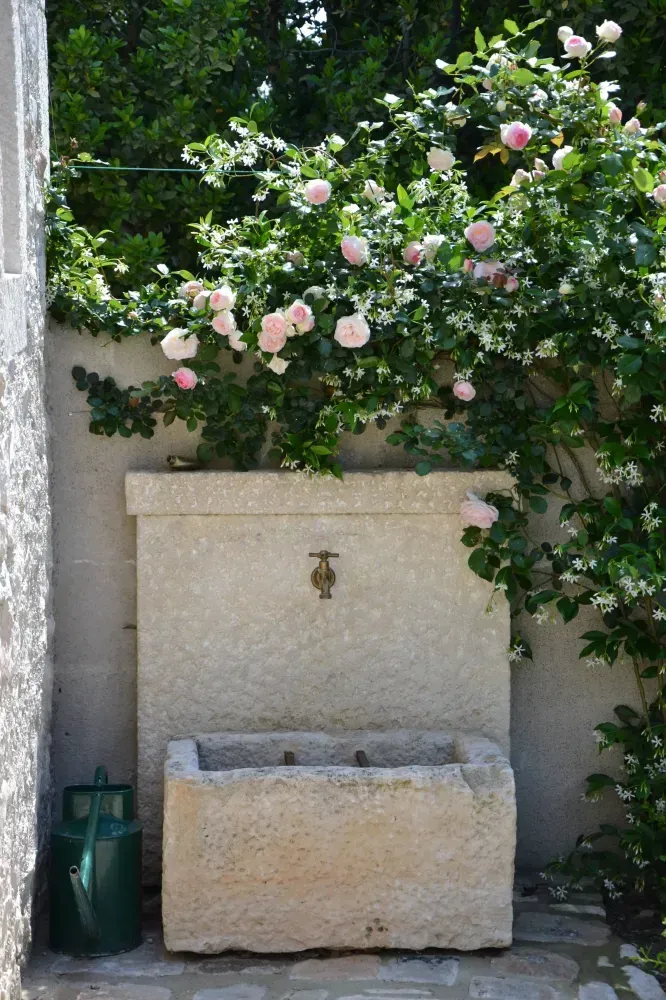 Évier extérieur en pierre, sous des vignes fleuries roses et de la verdure, contre un mur en stuc