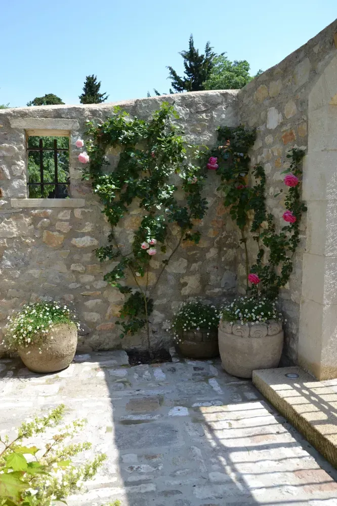Cour en pierre avec des plantes grimpantes fleuries en pot et un soleil éclatant projetant des ombres sur le sol