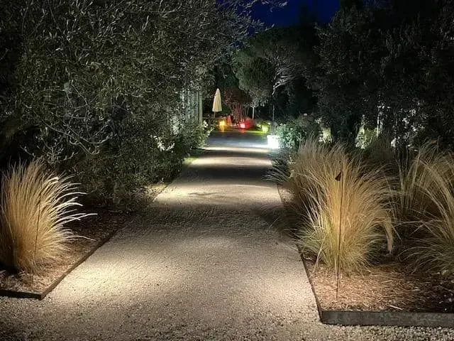Allée de jardin nocturne bordée de graminées ornementales et d’arbustes, éclairée par de petits luminaires au ras du sol