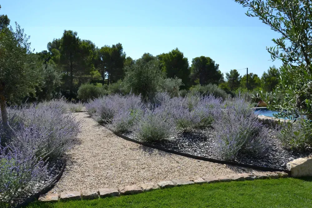 Allée de jardin paysagée bordée de lavandes sous un ciel bleu limpide