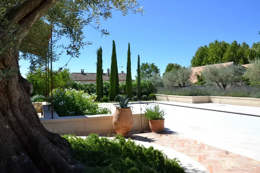 Cour ensoleillée avec des cyprès en pot, un dallage en pierre et un grand arbre procurant de l’ombre près d’une allée