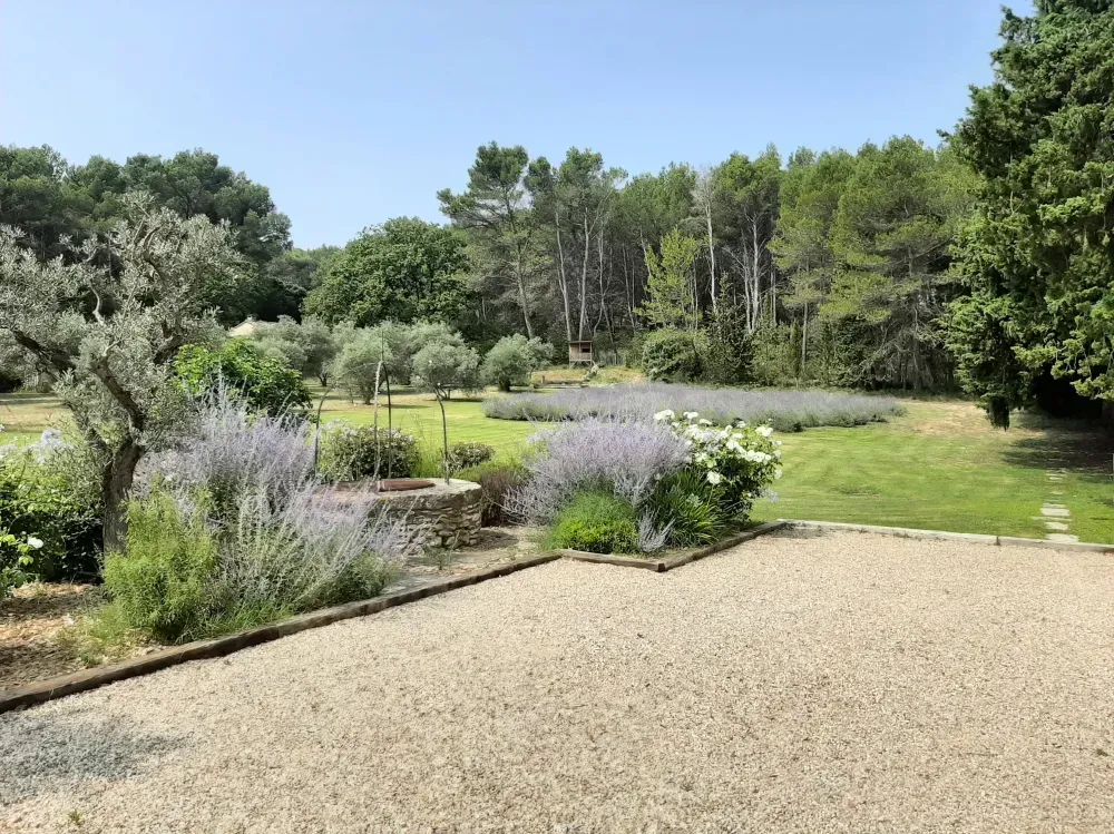 Jardin ensoleillé avec des arbustes, des arbres et une allée en gravier bordant une pelouse verdoyante
