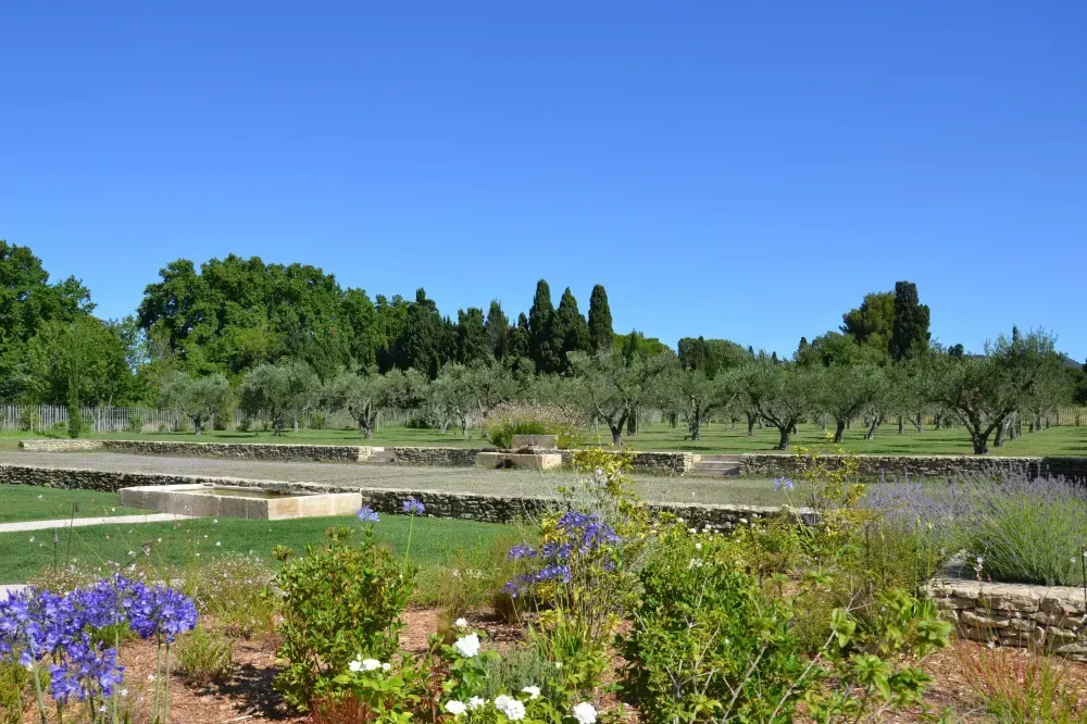 Jardin ensoleillé avec des fleurs violettes, des terrasses en pierre et des oliviers sous un ciel bleu dégagé