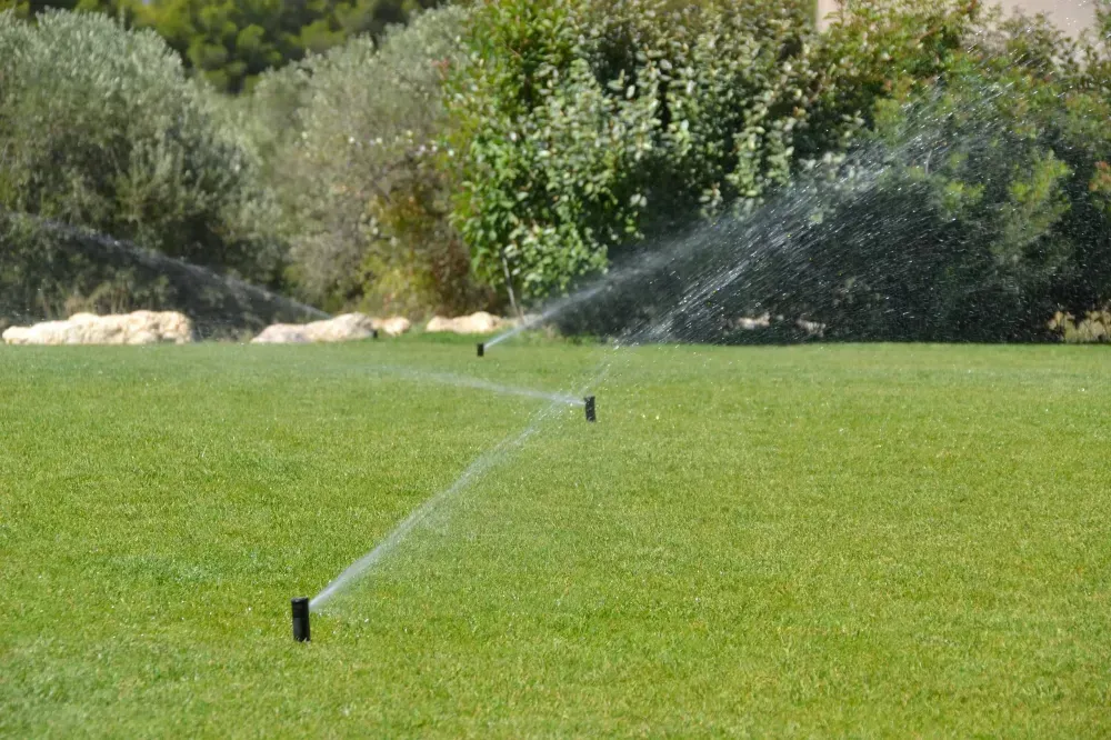 Des arroseurs automatiques irriguent une pelouse verdoyante dans un parc ensoleillé