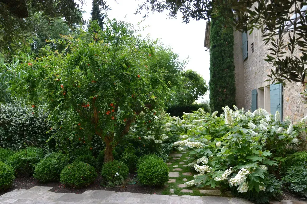 Jardin luxuriant avec des arbustes taillés, des hortensias en fleurs et un mur de pierre de la maison