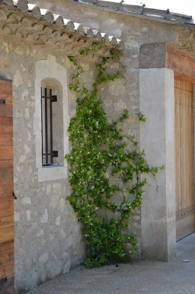 Façade de pierre avec une vigne de lierre grimpant à côté d’une petite fenêtre cintrée et d’une porte en bois