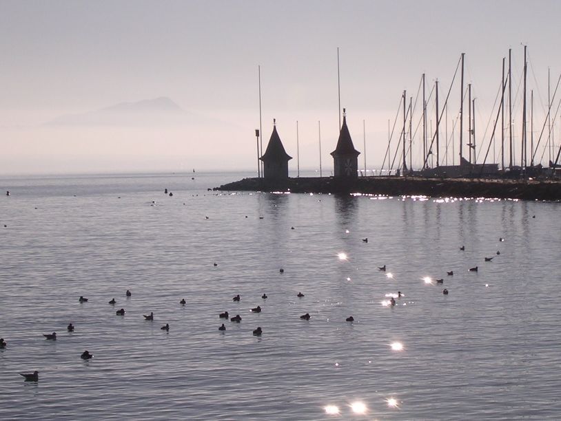 Micaela Ödman-Jaques - kystes