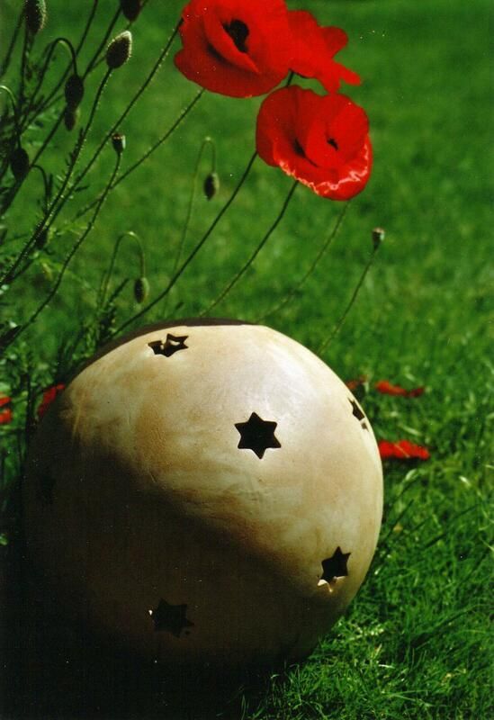 Ein Ball mit einem Stern in der Mitte liegt im Gras