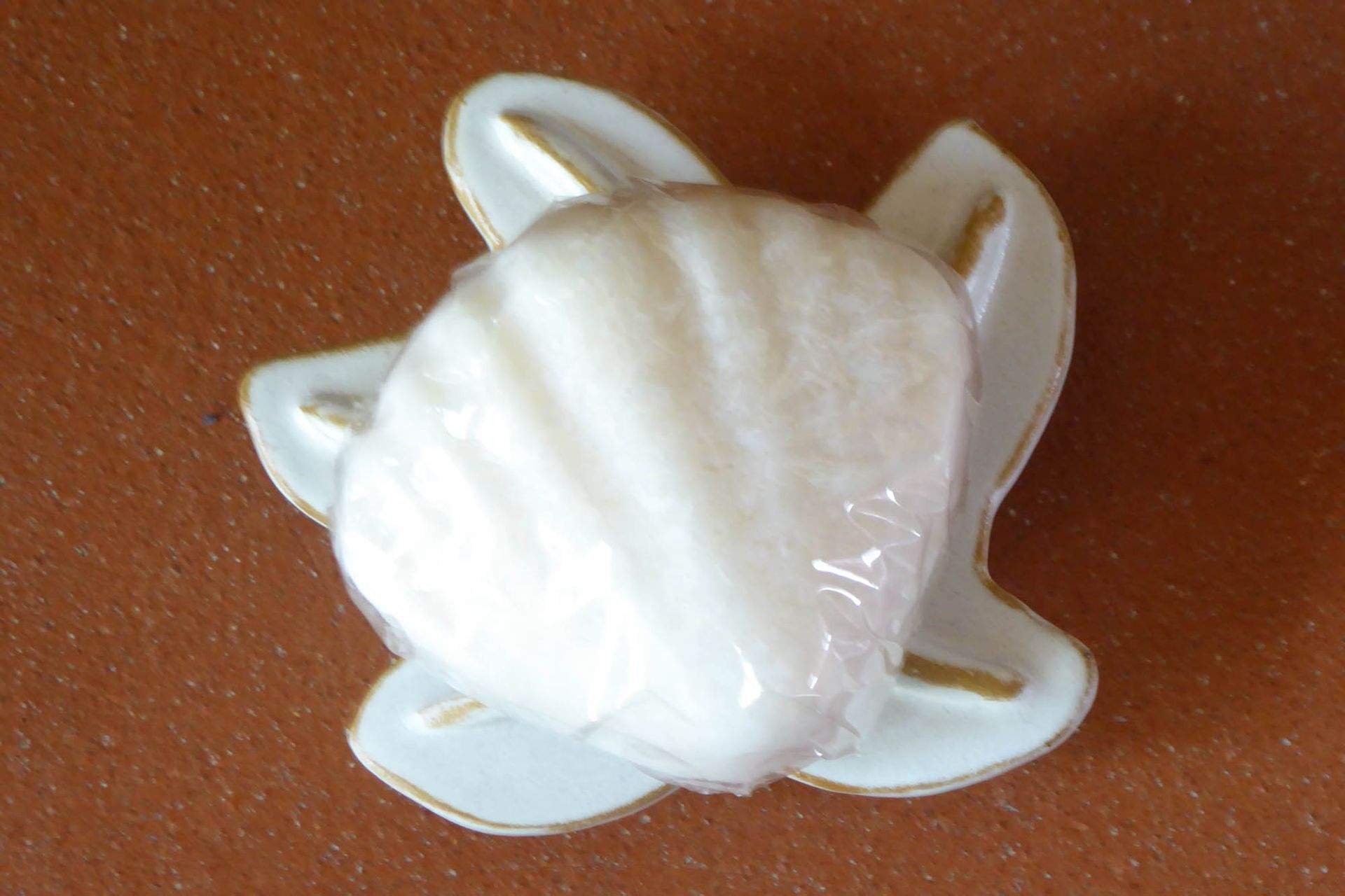 Eine weiß-goldene Brosche mit einer Muschel darauf