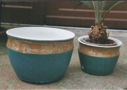 Zwei Schalen, in einer davon eine Pflanze