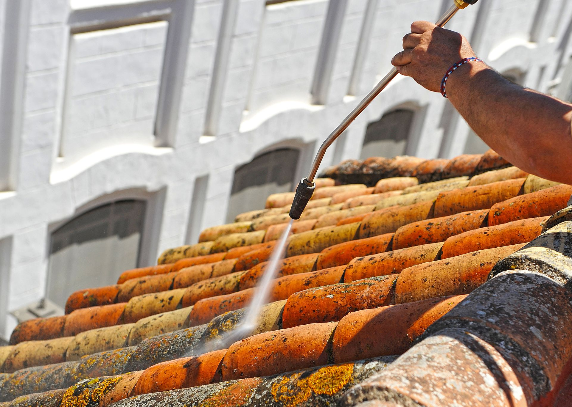 Lien vers la page Nettoyage et démoussage.