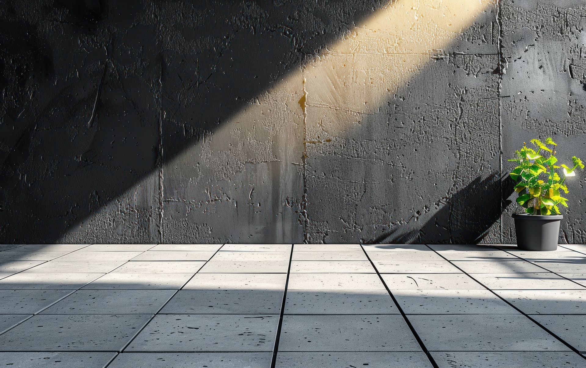 Eine Topfpflanze steht auf einem gefliesten Boden vor einer schwarzen Wand.
