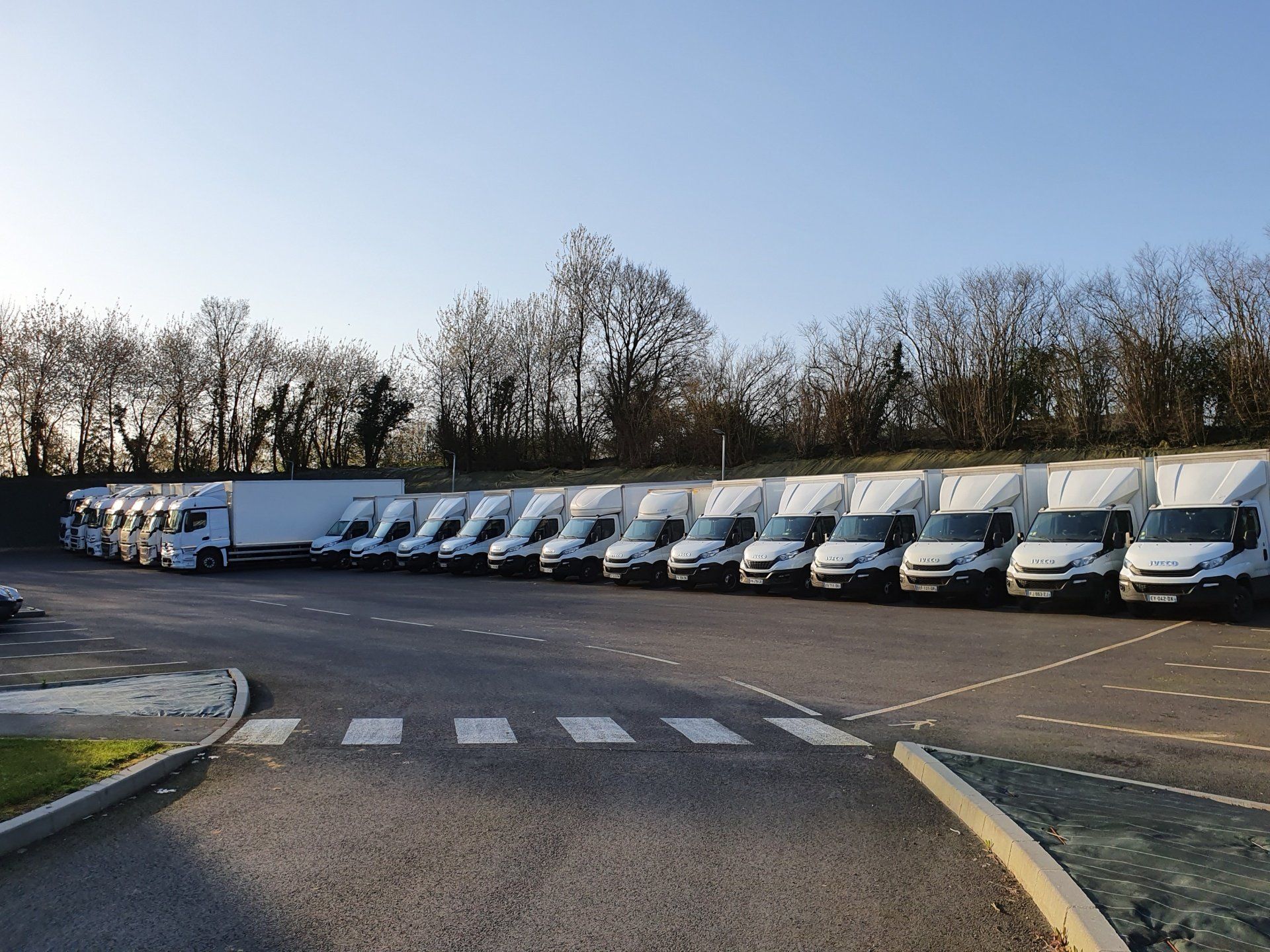 Ligne de camions de différentes tailles et blancs
