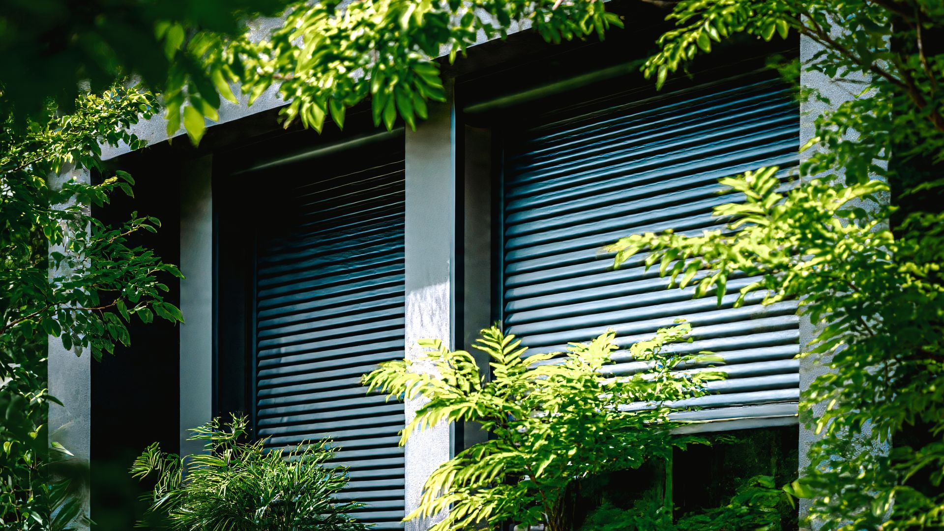 Bâtiment aux volets intérieurs à lattes horizontales, encadrés de feuillage vert.