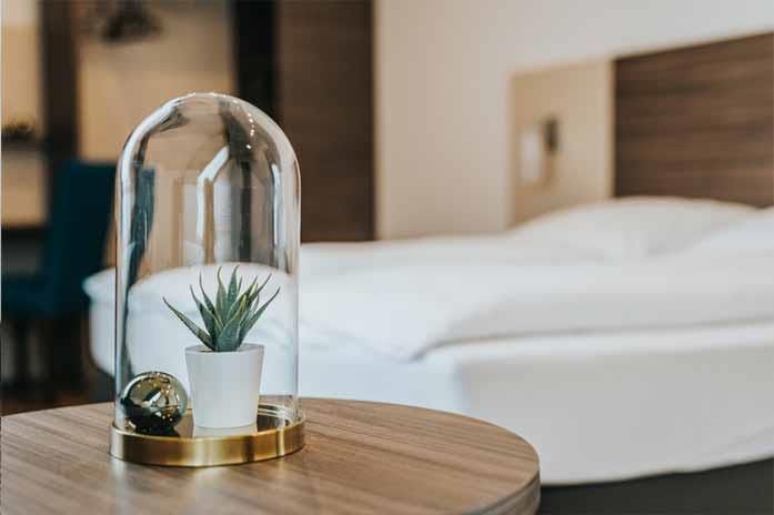 Auf einem Tisch in einem Hotelzimmer steht eine Pflanze in einer Glaskuppel.