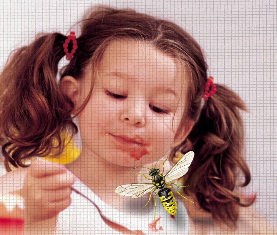 Ein kleines Mädchen hält einen Löffel mit einer Wespe im Mund