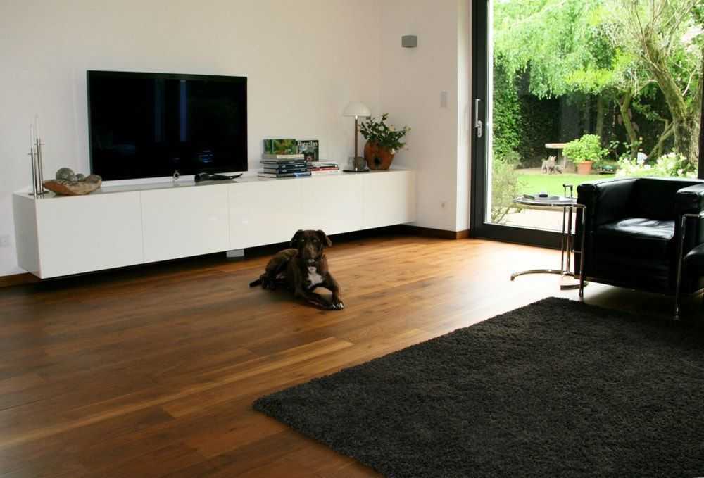 Ein Hund liegt auf dem Boden in einem Wohnzimmer