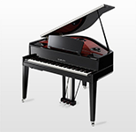 Ein schwarzer Flügel mit geöffnetem Deckel auf weißem Hintergrund.